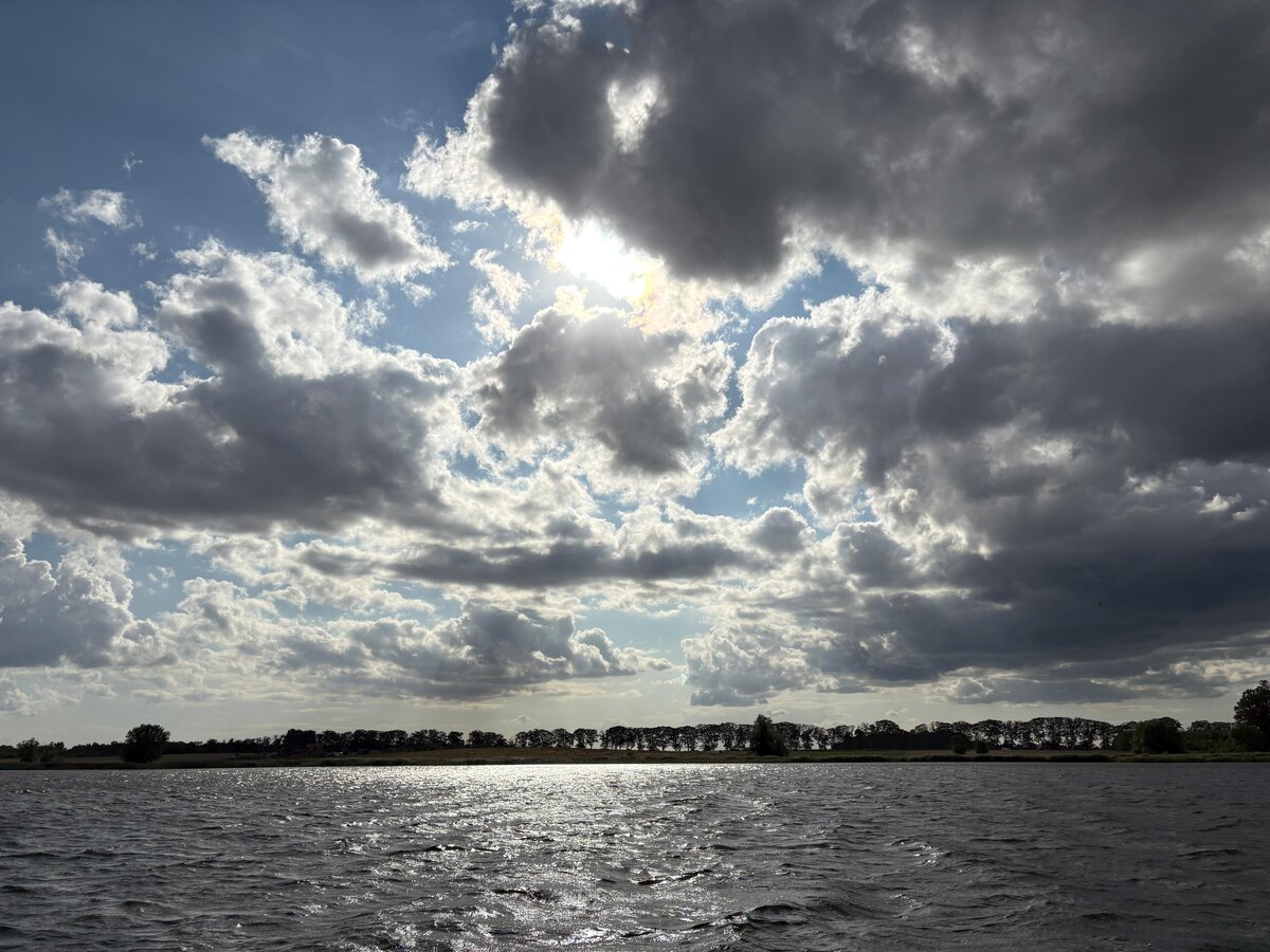 Motorówka Bayliner M19 na Zalewie Zegrzyńskim - czarter łodzi